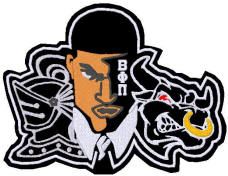 Beta Evolution, originally designed by University Apparel
