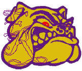 Bulldog head #2