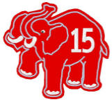 detailed elephant w/ raised foot