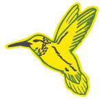 hummingbird 1