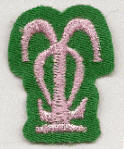 Omega Upsilon (solid)
