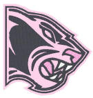 panther 111209