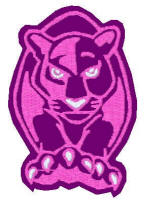 Panther 120604b