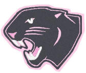 panther 41906