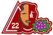 Pyramid Evolution #2, originally designed by University Apparel, Inc.