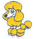 Shy Poodle