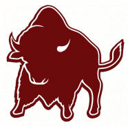 Buffalo/Bison