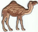 Camel #1 (filled)
